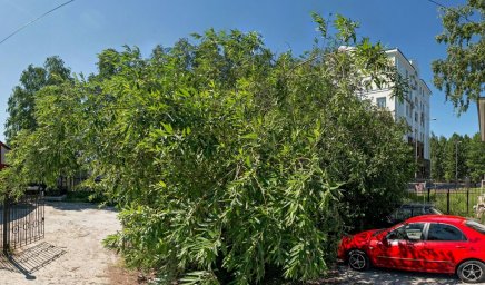Приемная Губернатора Ханты-Мансийского автономного округа